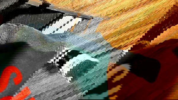 _animechika_ _animechika_ archive image