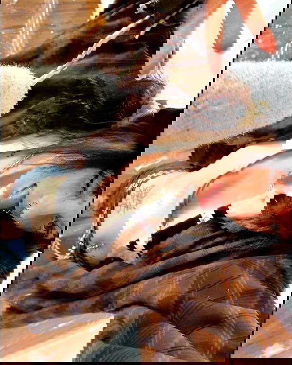 _animechika_ _animechika_ archive image