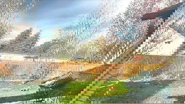 _animechika_ _animechika_ archive image