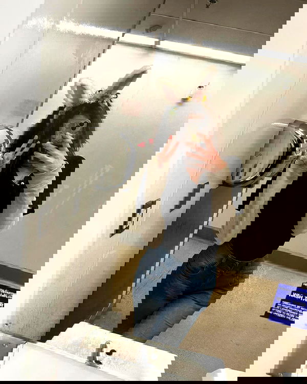 _animechika_ _animechika_ archive image