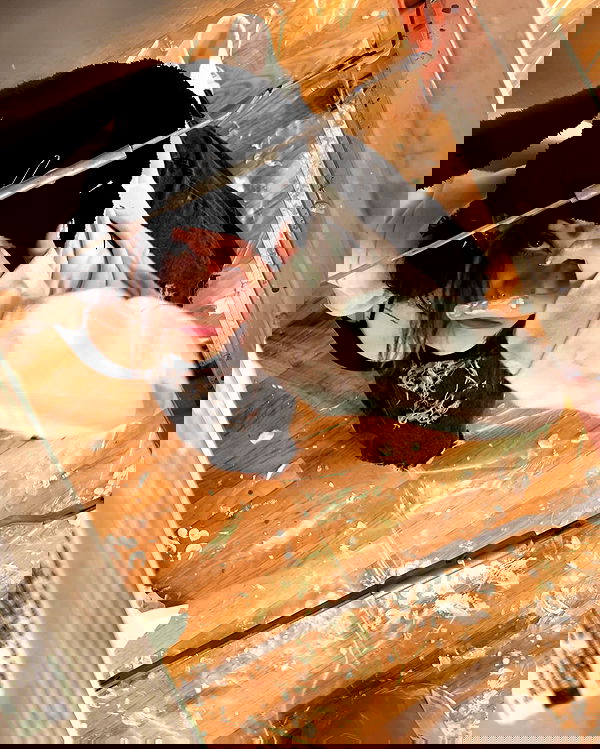 _animechika_ _animechika_ archive image