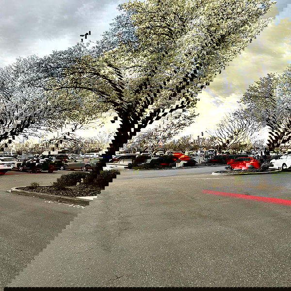 _animechika_ _animechika_ archive image