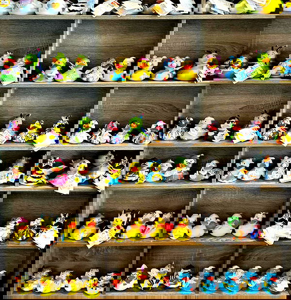 _animechika_ _animechika_ archive image