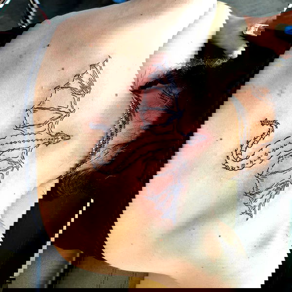 _animechika_ _animechika_ archive image