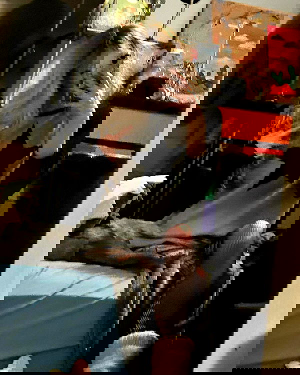 _animechika_ _animechika_ archive image