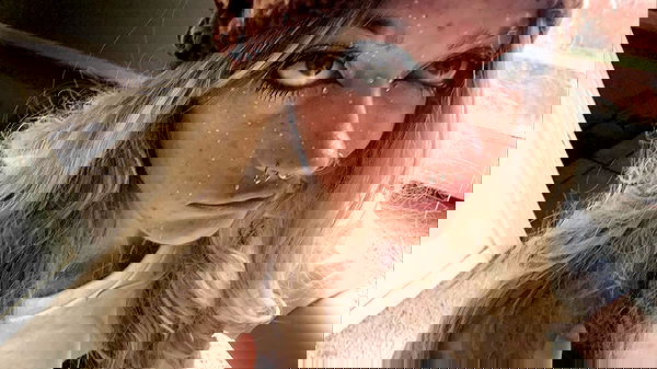 _animechika_ _animechika_ archive image