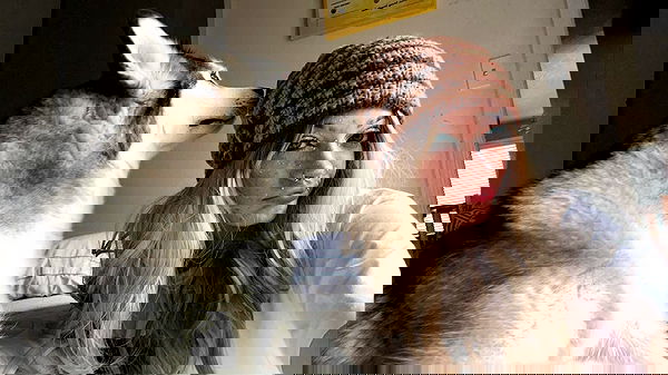 _animechika_ _animechika_ archive image