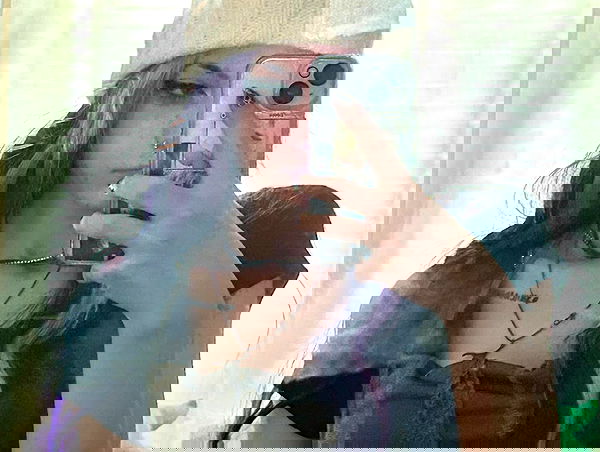 _animechika_ _animechika_ archive image