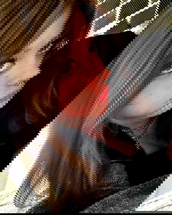 _animechika_ _animechika_ archive image