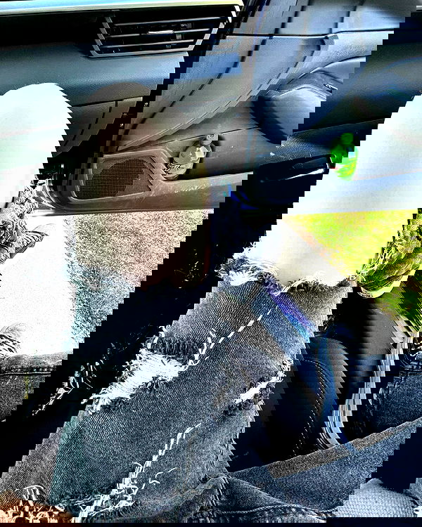 _animechika_ _animechika_ archive image