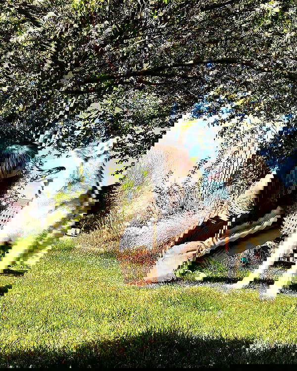 _animechika_ _animechika_ archive image