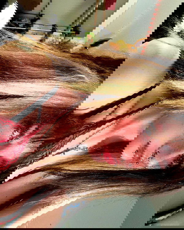 _animechika_ _animechika_ archive image