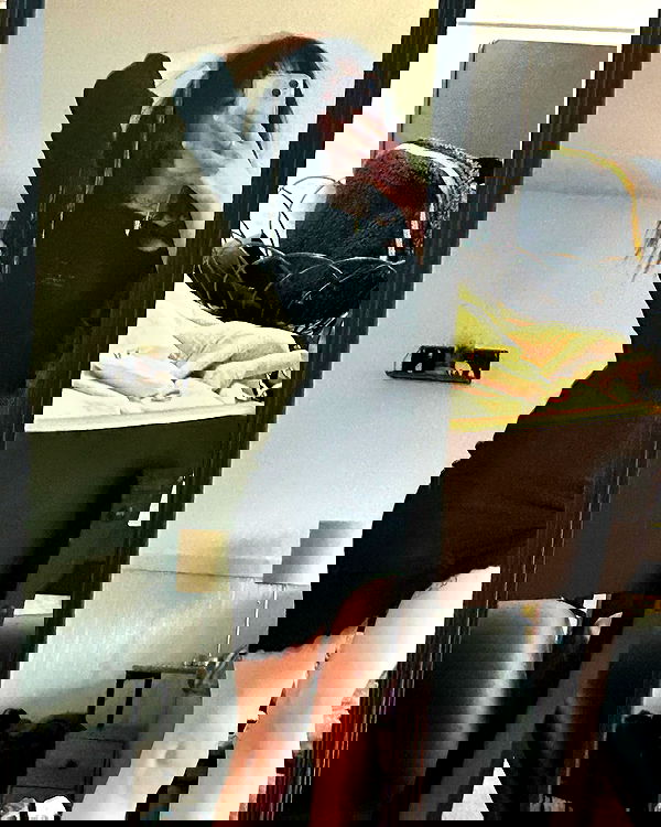 _animechika_ _animechika_ archive image