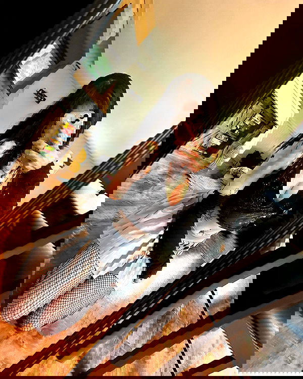 _animechika_ _animechika_ archive image