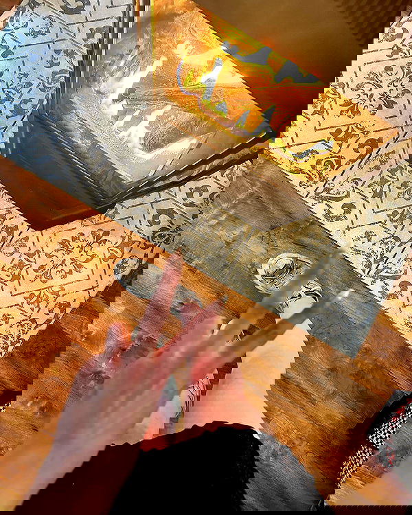 _animechika_ _animechika_ archive image