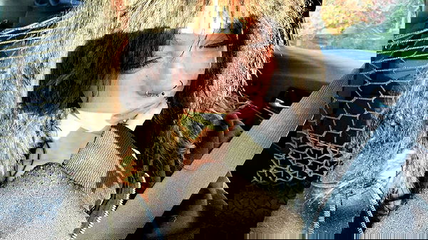 _animechika_ _animechika_ archive image