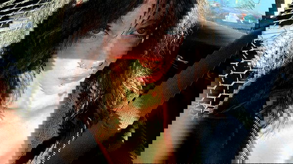 _animechika_ _animechika_ archive image