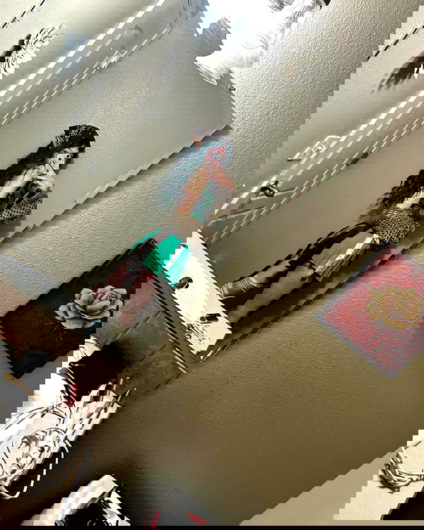 _animechika_ _animechika_ archive image