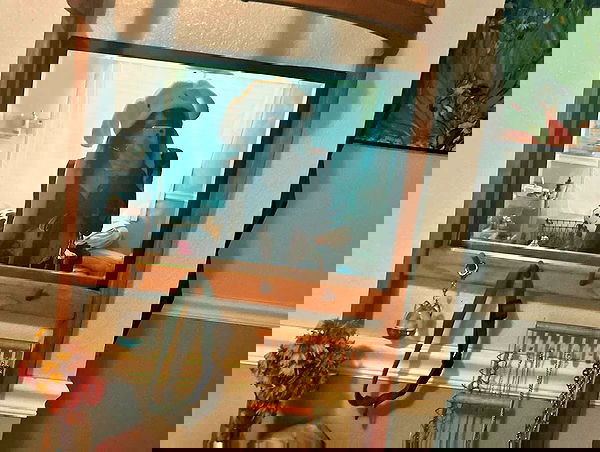 _animechika_ _animechika_ archive image