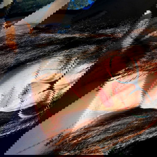 _animechika_ _animechika_ archive image