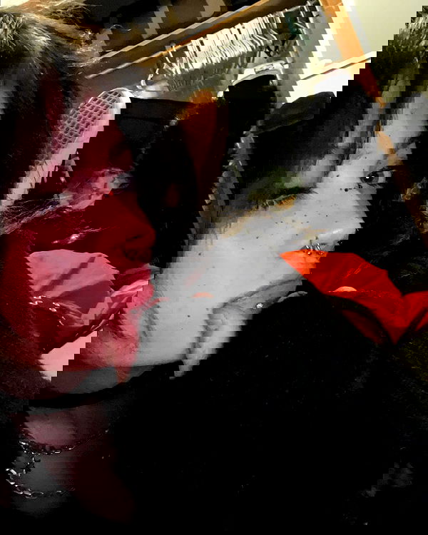 _animechika_ _animechika_ archive image