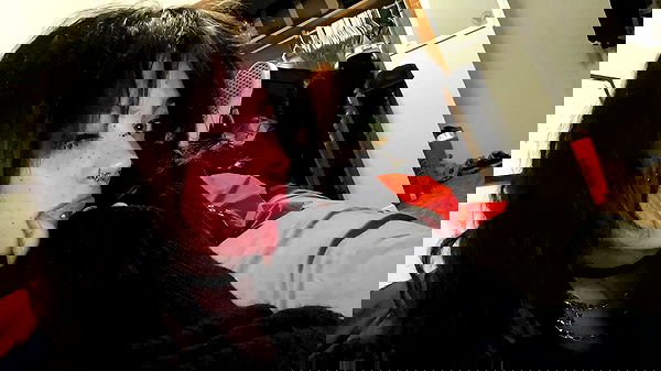 _animechika_ _animechika_ archive image