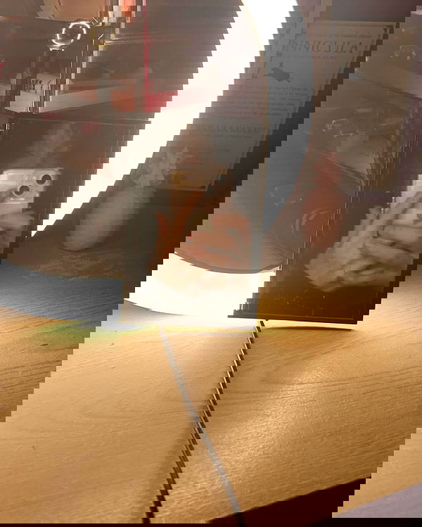 _animechika_ _animechika_ archive image