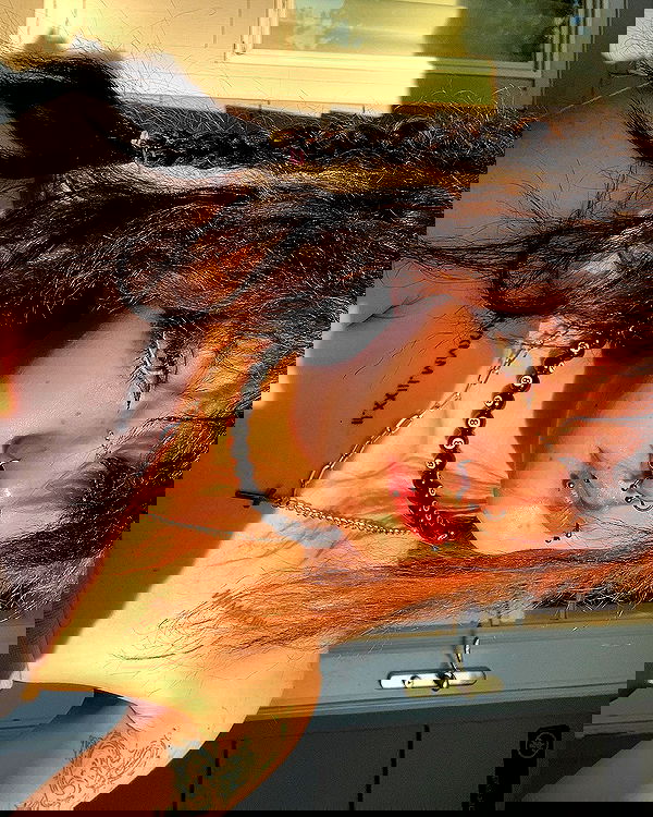 _animechika_ _animechika_ archive image