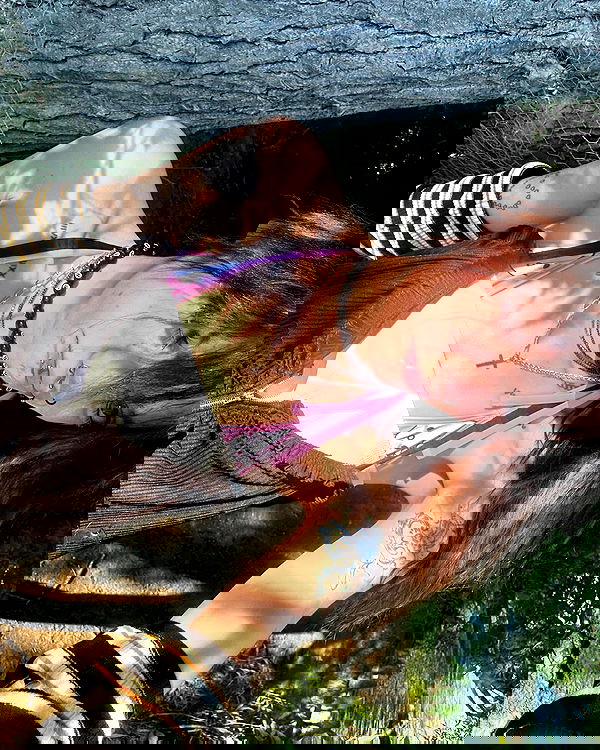 _animechika_ _animechika_ archive image