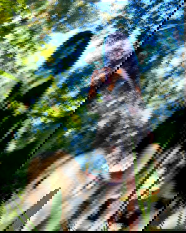 _animechika_ _animechika_ archive image