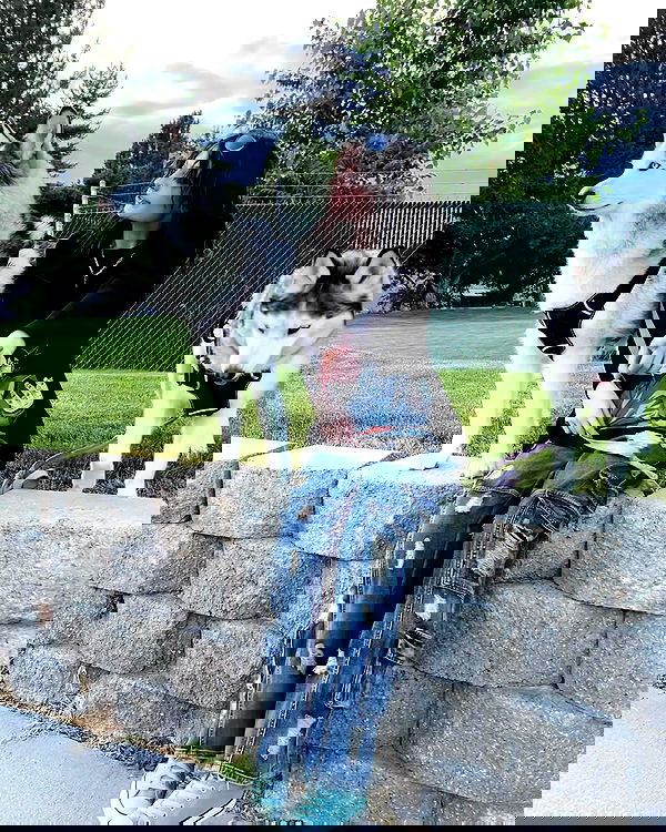 _animechika_ _animechika_ archive image