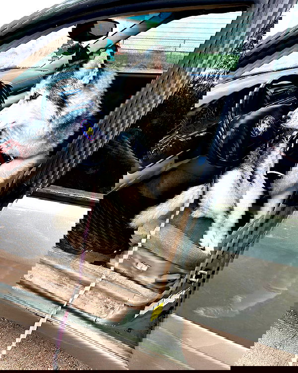 _animechika_ _animechika_ archive image