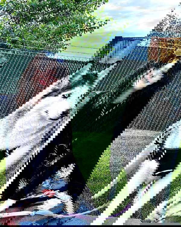 _animechika_ _animechika_ archive image