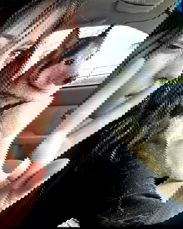 _animechika_ _animechika_ archive image