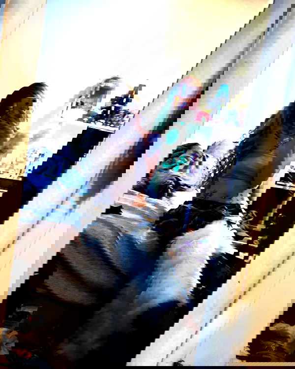 _animechika_ _animechika_ archive image