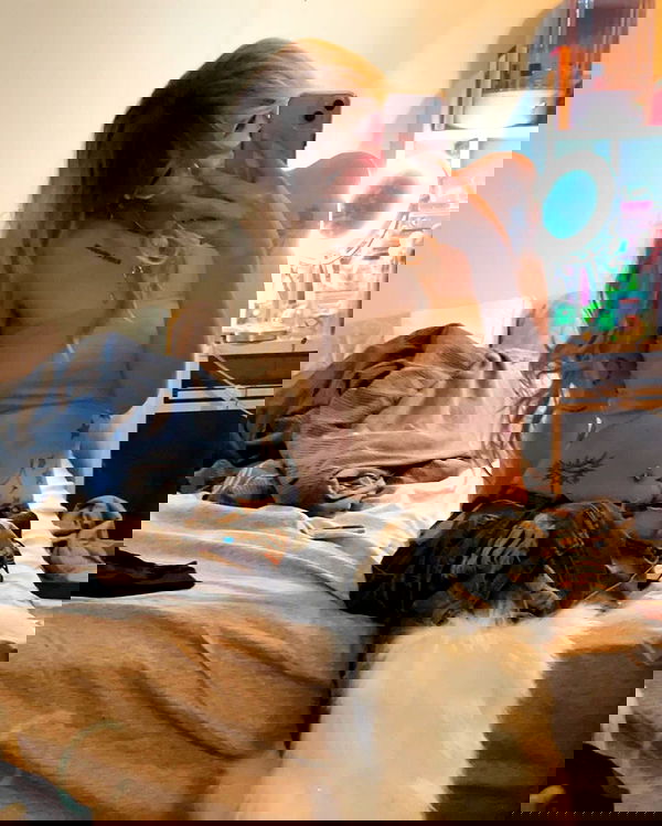 _animechika_ _animechika_ archive image