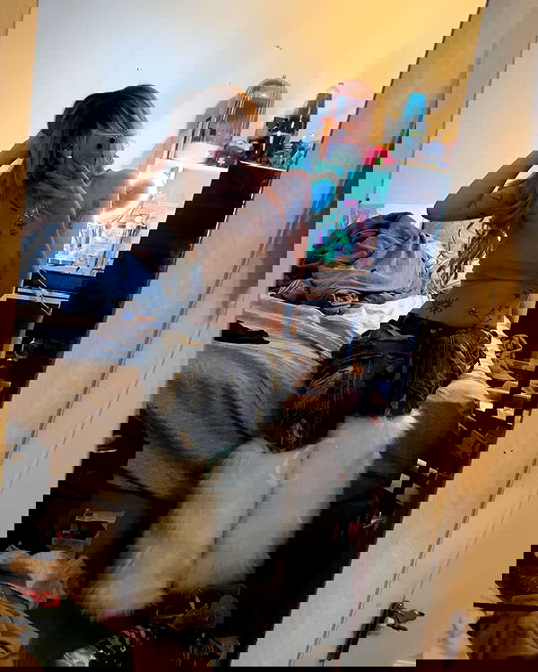 _animechika_ _animechika_ archive image