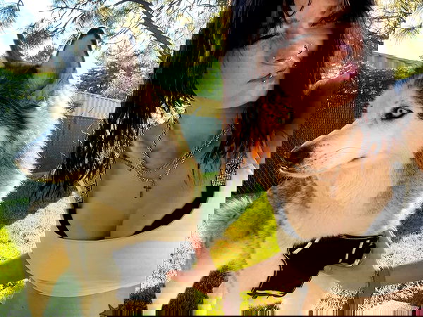 _animechika_ _animechika_ archive image