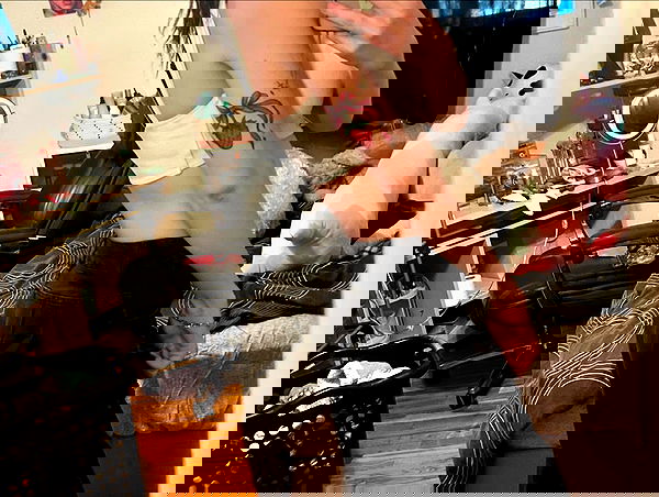 _animechika_ _animechika_ archive image