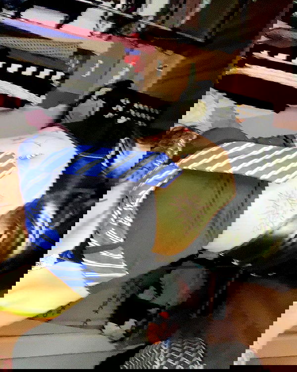 _animechika_ _animechika_ archive image