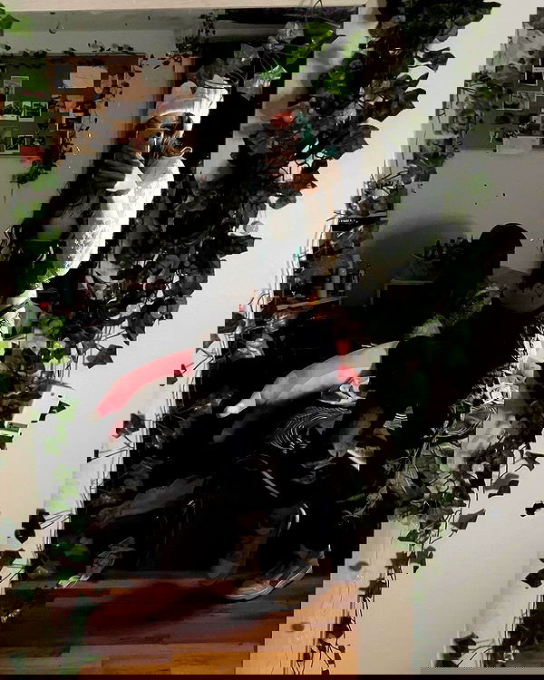 _animechika_ _animechika_ archive image