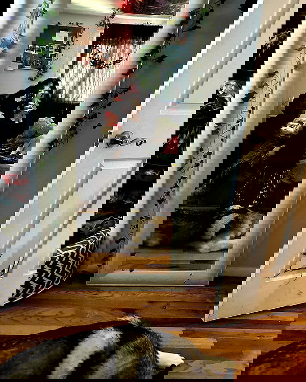 _animechika_ _animechika_ archive image