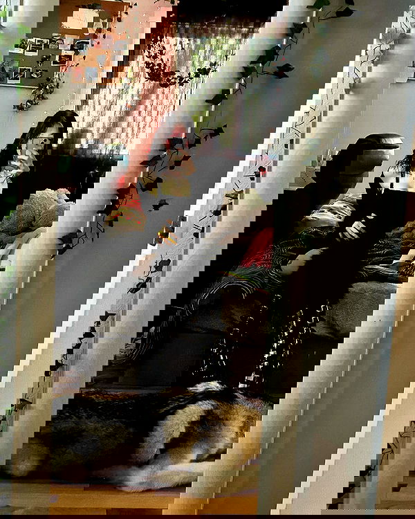 _animechika_ _animechika_ archive image