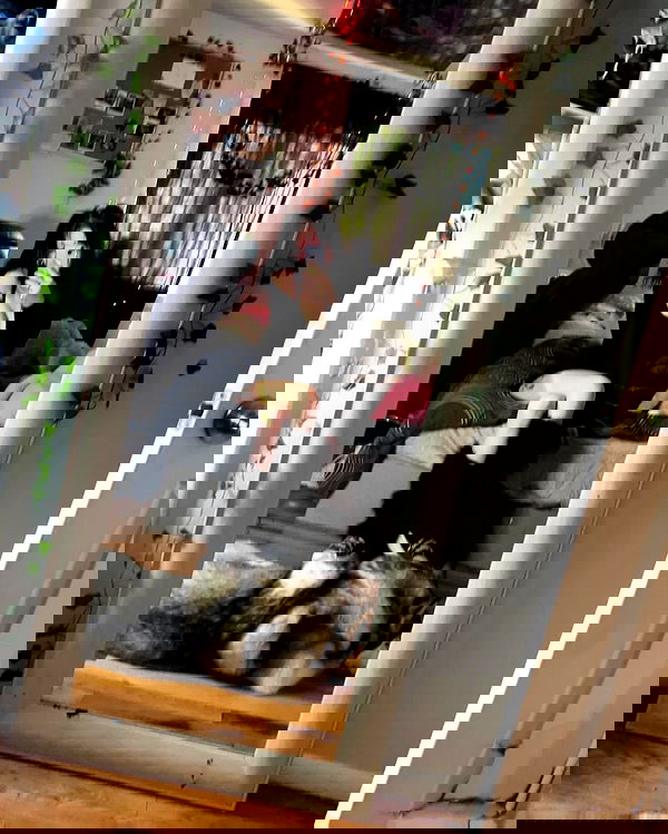 _animechika_ _animechika_ archive image