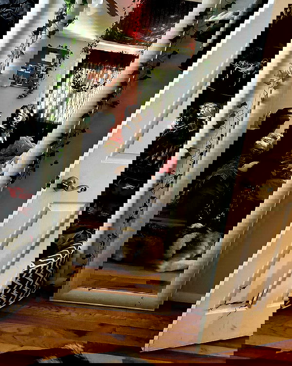 _animechika_ _animechika_ archive image