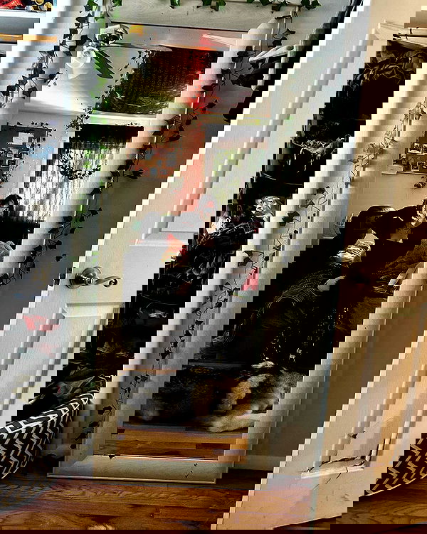 _animechika_ _animechika_ archive image