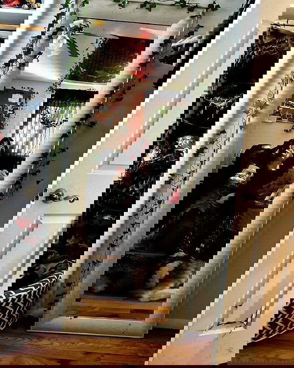 _animechika_ _animechika_ archive image