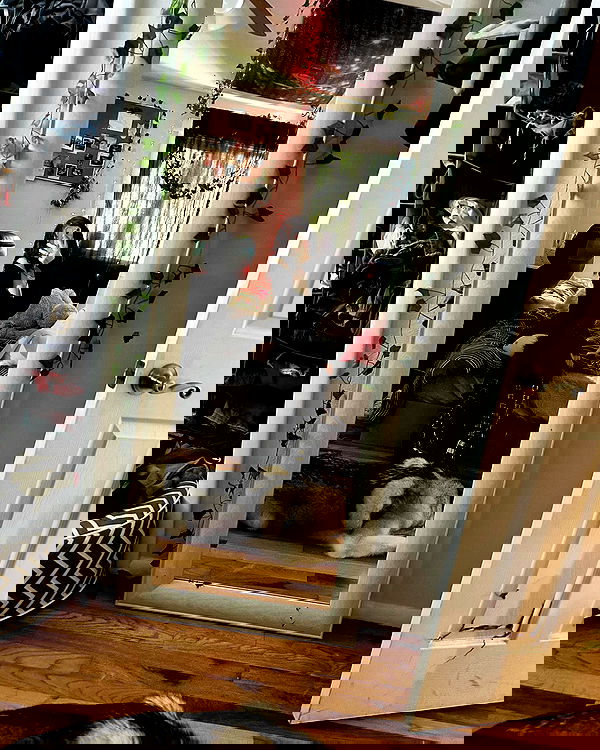 _animechika_ _animechika_ archive image