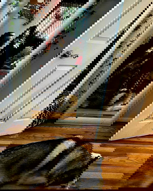 _animechika_ _animechika_ archive image