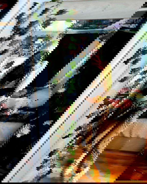 _animechika_ _animechika_ archive image